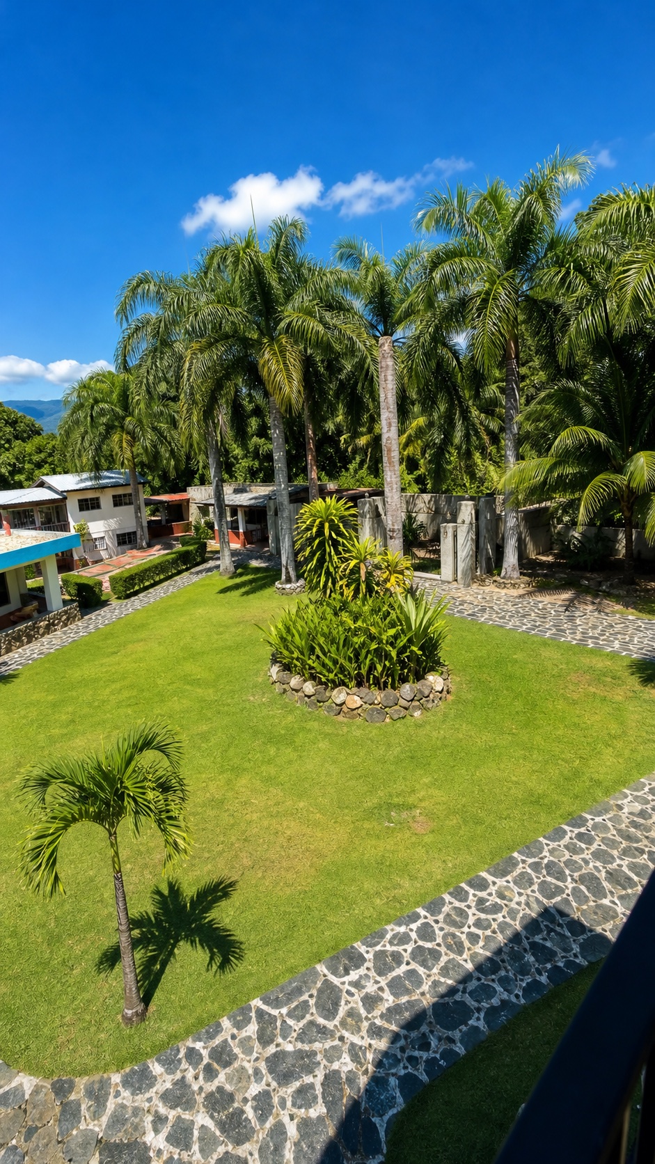 Jardín con palmeras